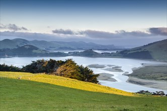 Saturated green pasture in front of tidal inlet