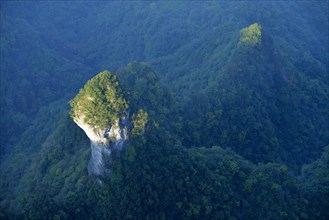 Mushroom-shaped rock surrounded by a forest