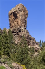 Roque Nublo rock