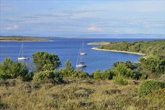 Yachts anchored in a bay