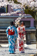 Japanese women with kimono at pagoda Amidado