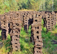 Stacks of peat sods left or drying in the traditional manner