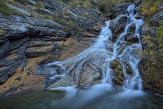 Mountain stream with fallen larch needles on the stones