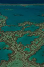 Aerial view of the Great Barrier Reef