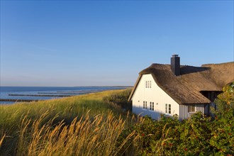 Thatched cottage in the dunes at the beach