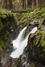 Sol Duc Falls in the Sol Duc River Valley