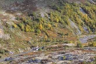 Fjell landscape in autumn