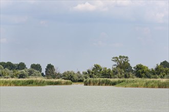 Lake Neusiedl National Park in Podersdorf am See