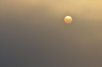 Sun at sunrise with fog