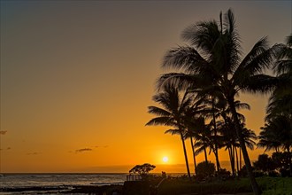 Sunset on the beach