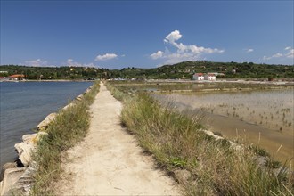 Walk through the salt works in the nature reserve of Strunjan