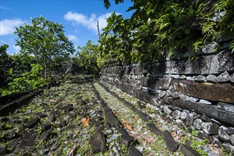 Ruins of the ancient city Nan Madol