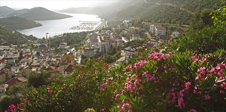 View of the town of KasÌ§