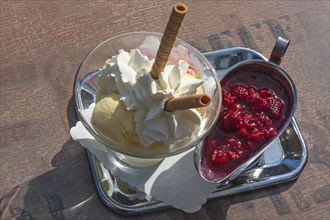 Ice cream sundae with whipped cream and hot raspberries