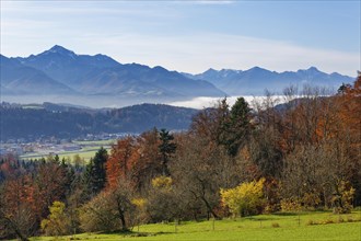 View from Hochberg mountain near Traunstein towards the Bavarian Alps