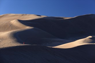 People walking on the dunes