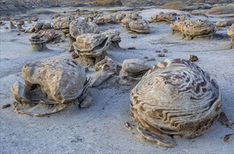 Rock formations in the Bisti Wilderness
