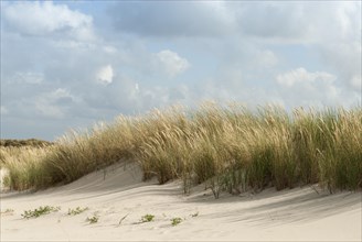 Dunes