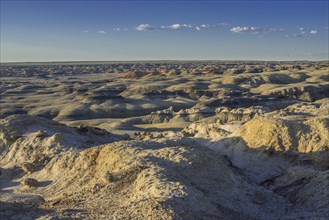 Rock formations in the Bisti Wilderness