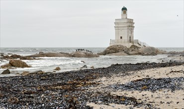 Lighthouse and cormorant colony at Shelley Point