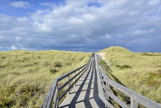 The boardwalk leads through the dunes to the beach near Kampen