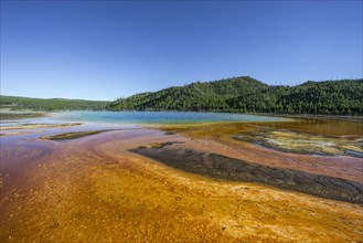 Grand Prismatic Spring