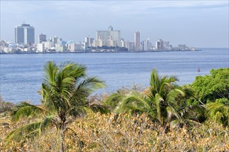 View of the districts of Centro Habana and El Verdado