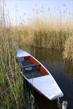 Fishing boat in the reeds on Lake Neusiedl