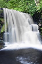 East Gill Force waterfall