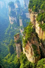Avatar' mountains with vertical quartz sandstone rocks