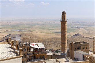 Mesopotamian plain and minaret of the Great Mosque Ulu Camii