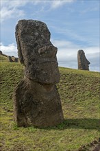 Group of Moai statues