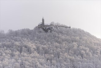 Burg Teck Castle in winter