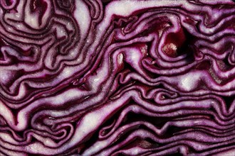 Red cabbage