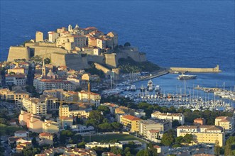 The town of Calvi with citadel and marina