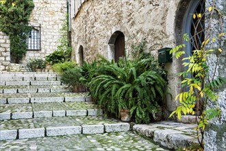 Alleyway with steps in the medieval city of Saint-Paul or Saint-Paul-de-Vence