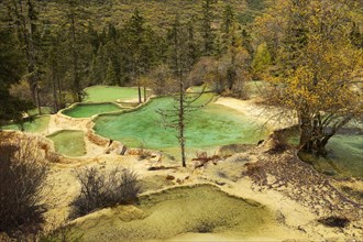Lime terraces with lakes in autumnal environment