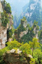Avatar Mountains with vertical quartz-sandstone pillars