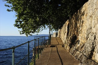 The boardwalk trail along the rocky coast