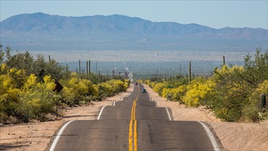 Long straight road through Sonora Desert