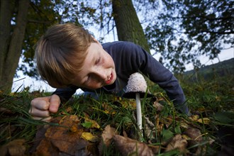 Boy looking at mushroom