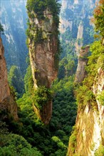 Avatar' mountains with vertical quartz sandstone rocks