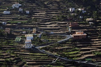 View from Mirador Cesar Manrique onto terraced fields and houses of Hornillo