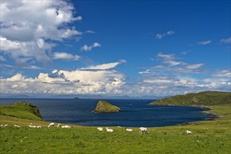 Bay on the Trotternish peninsula