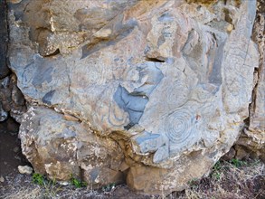 Prehistoric rock engravings of Fajana