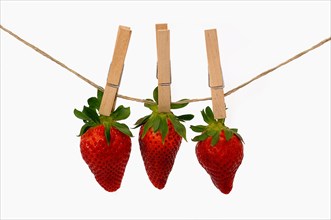 Three strawberries with wooden clothespins on a line
