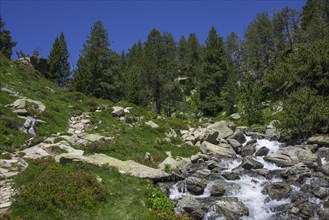 Stream by the footpath to Refugi d'Amitges