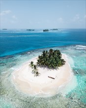 Small tropical Palm Island