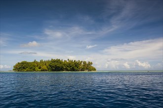 Islet in the Ant Atoll