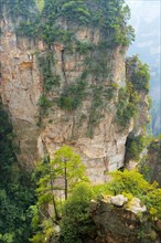 Avatar Mountains with vertical quartz-sandstone pillars
